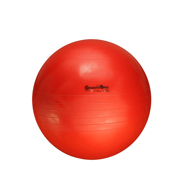 bola-suica-pilates-rpg-55cm-2